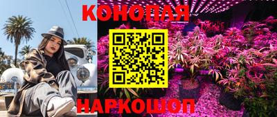 гидропоника Краснокаменск