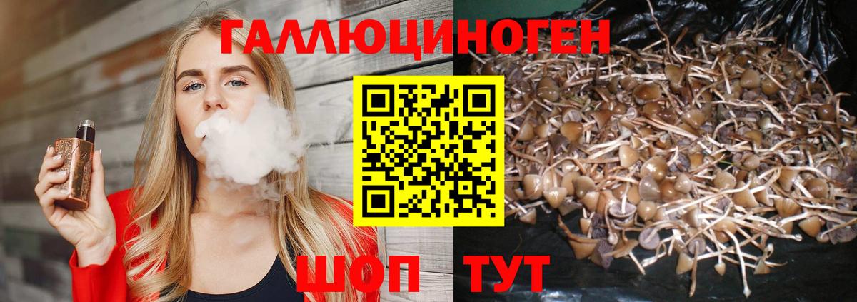 Донской  Псилоцибиновые грибы ЛСД  Галлюциногенные грибы Psilocybine cubensis  Вход с VPN 