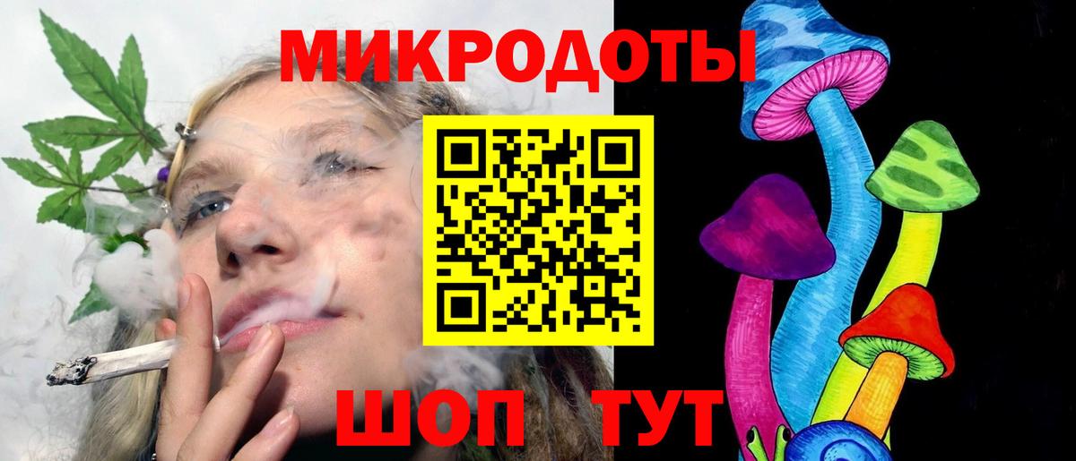 Галлюциногенные грибы Psilocybine cubensis Донской