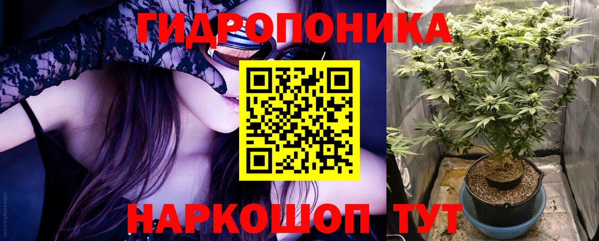 Бошки Шишки конопля Донской